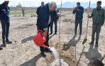 آیین کاشت نهال مثمر به مناسبت روز درختکاری در شرکت سیمان سپاهان